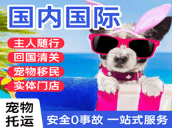 鄂托克旗乌兰空运国际宠物托运 【国